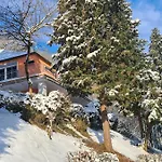 Midi-appartement Zum Gechillten Hirsch Eg Apartament
