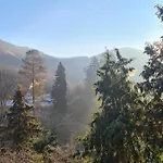 Apartament Midi-appartement Zum Gechillten Hirsch Eg *
