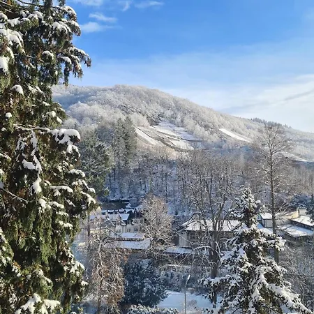 Lejlighed Midi-appartement Zum Gechillten Hirsch Eg Traben-Trarbach