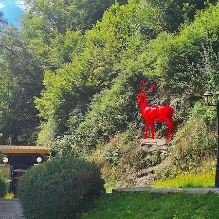 Midi-appartement Zum Gechillten Hirsch Eg
