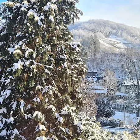 Midi-appartement Zum Gechillten Hirsch Eg Traben-Trarbach