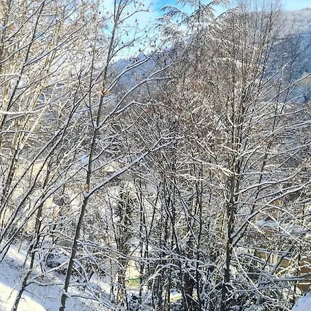 Lejlighed Midi-appartement Zum Gechillten Hirsch Eg