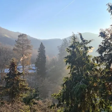 Lejlighed Midi-appartement Zum Gechillten Hirsch Eg *