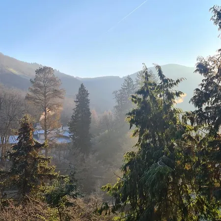Midi-appartement Zum Gechillten Hirsch Eg Lejlighed