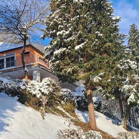Midi-appartement Zum Gechillten Hirsch Eg Lejlighed