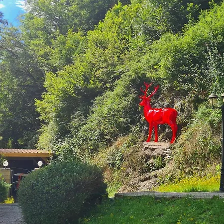 Lejlighed Midi-appartement Zum Gechillten Hirsch Eg *