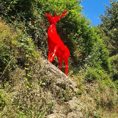 Midi-appartement Zum Gechillten Hirsch Eg Traben-Trarbach
