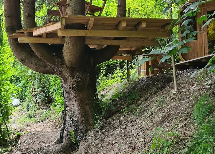 Midi-appartement Zum Gechillten Hirsch Eg Traben-Trarbach