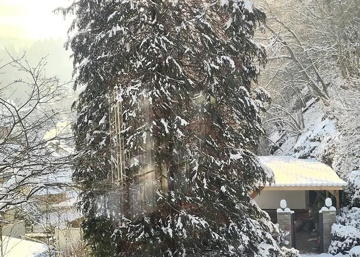 Appartement Midi-appartement Zum Gechillten Hirsch Eg Traben-Trarbach