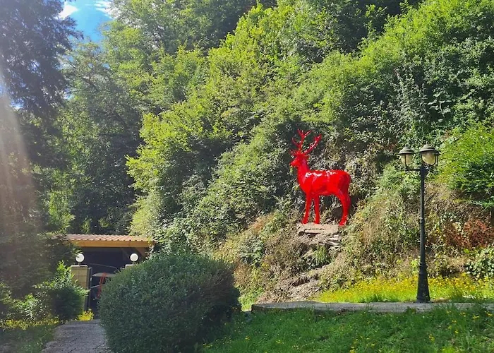 Midi-appartement Zum Gechillten Hirsch Eg