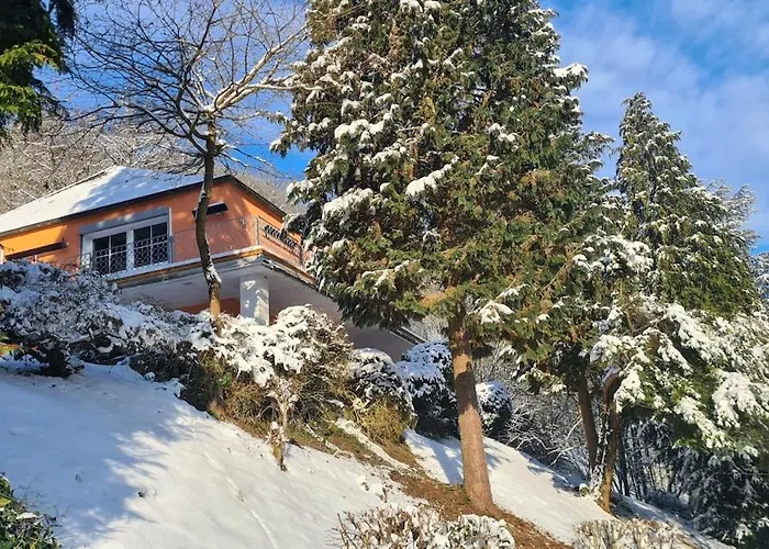 Midi-appartement Zum Gechillten Hirsch Eg Appartement