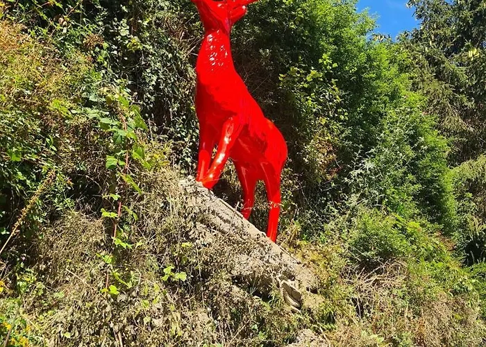 Appartement Midi-appartement Zum Gechillten Hirsch Eg *