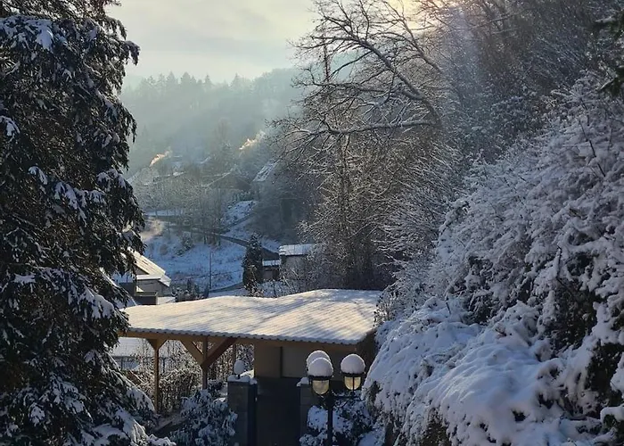 Midi-appartement Zum Gechillten Hirsch Eg Appartement