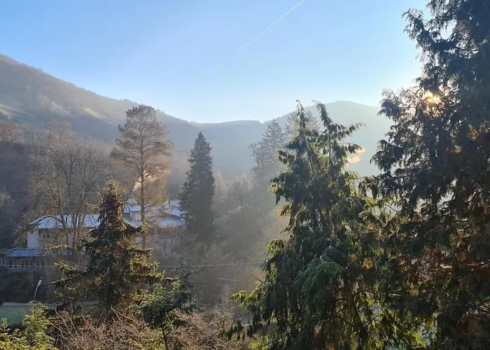 Appartement Midi-appartement Zum Gechillten Hirsch Eg *